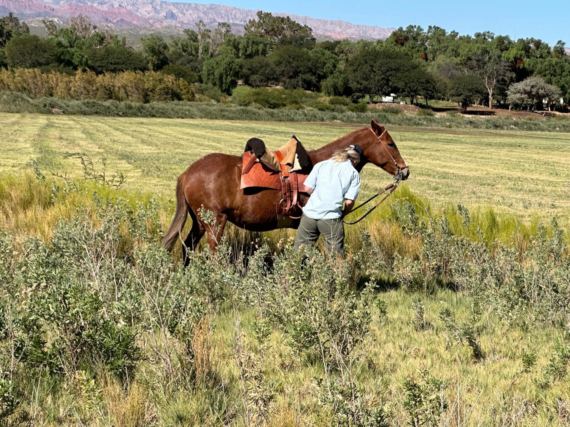 מולינוס Estancia Banda Grande - Horse & Hiking Safaris מראה חיצוני תמונה