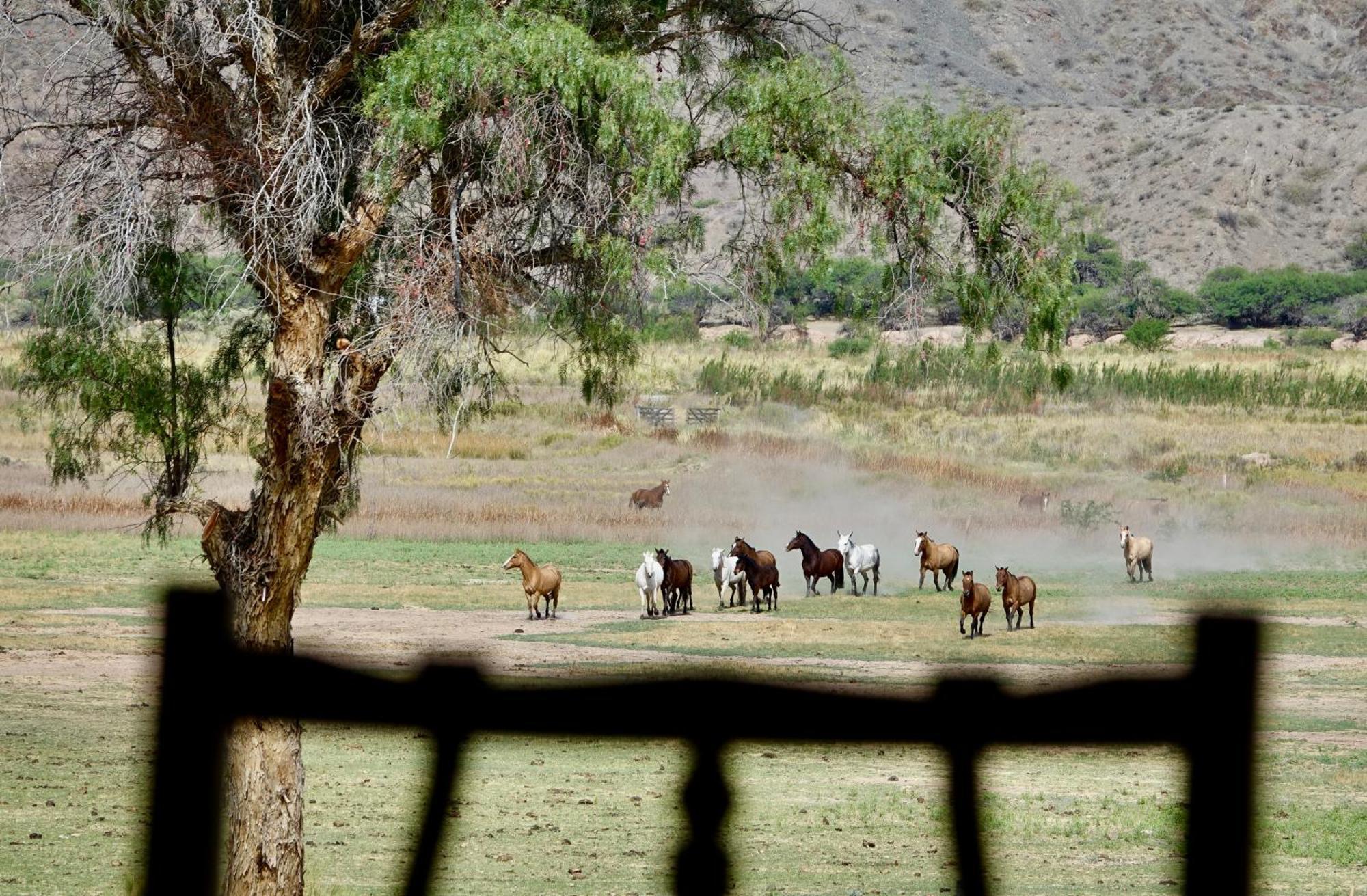 מולינוס Estancia Banda Grande - Horse & Hiking Safaris מראה חיצוני תמונה