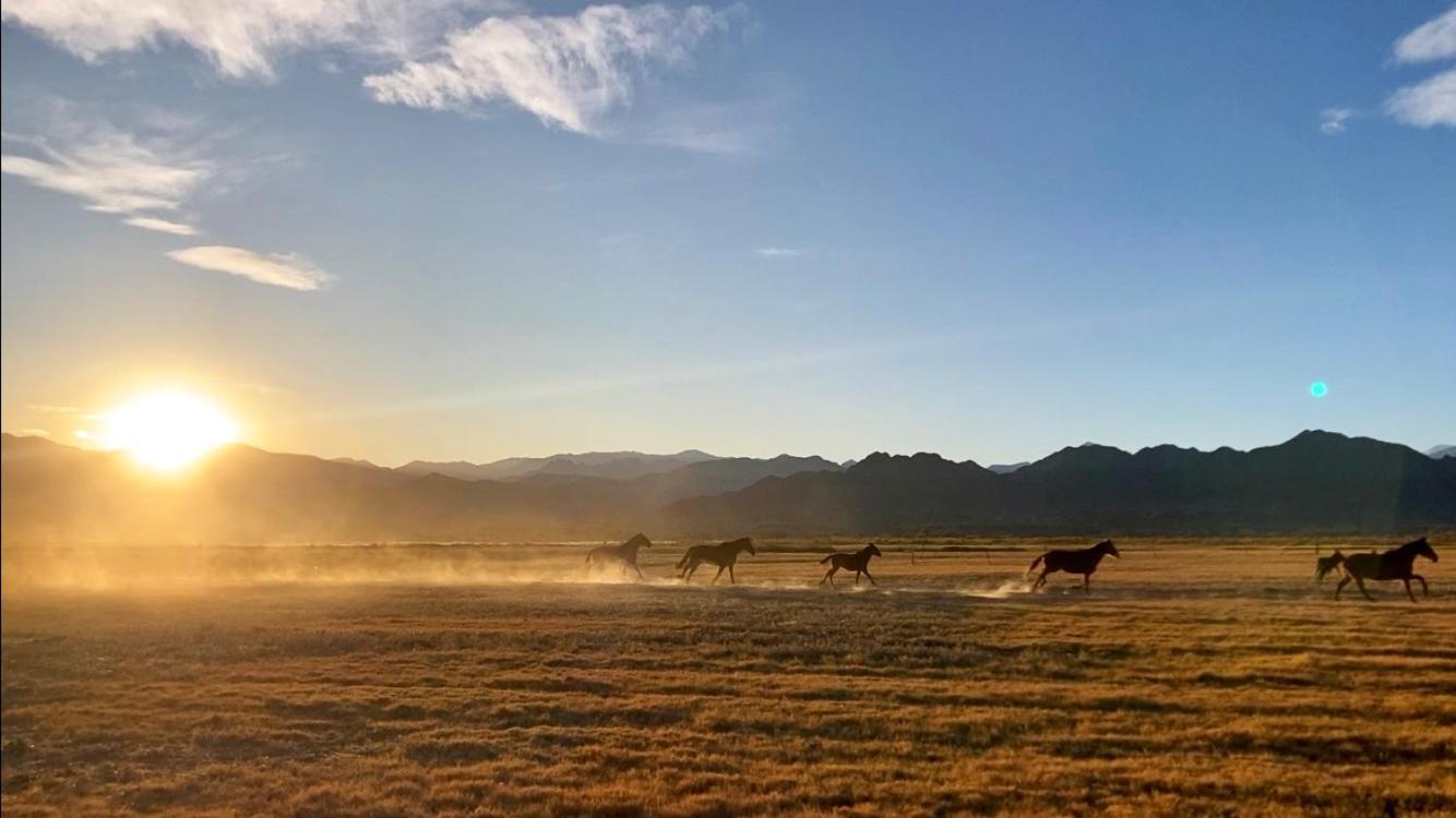 מולינוס Estancia Banda Grande - Horse & Hiking Safaris מראה חיצוני תמונה